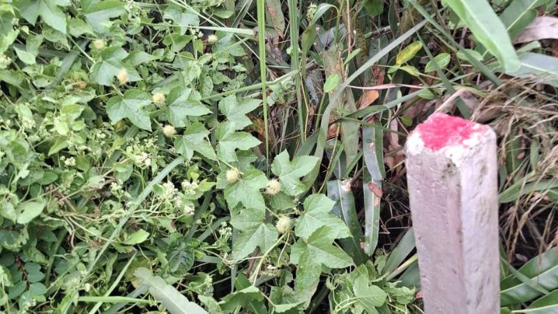 Dịch vụ đo vẽ hiện trạng nhà đất phường Linh Xuân uy tín, chính xác 5 ỹ thuật của dịch vụ đo vẽ hiện trạng nhà đất phường Linh Xuân