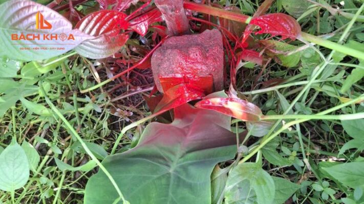 Vì sao hồ sơ nhà đất tại phường Tam Bình thường “vướng” khi nộp?