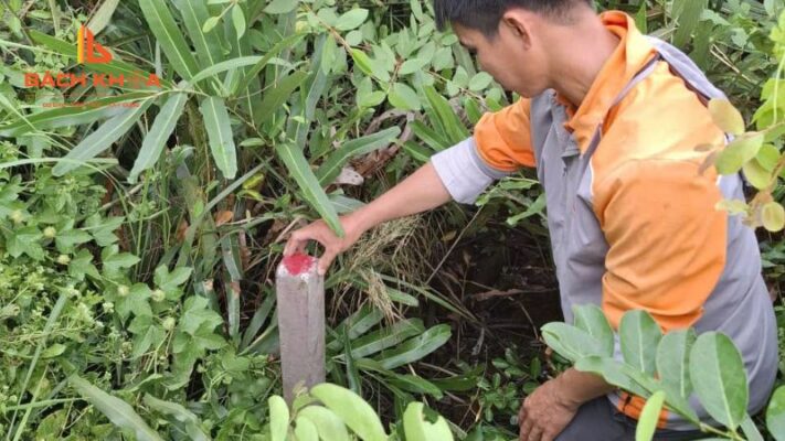 Thực trạng hồ sơ nhà đất tại phường Tăng Nhơn Phú hiện nay