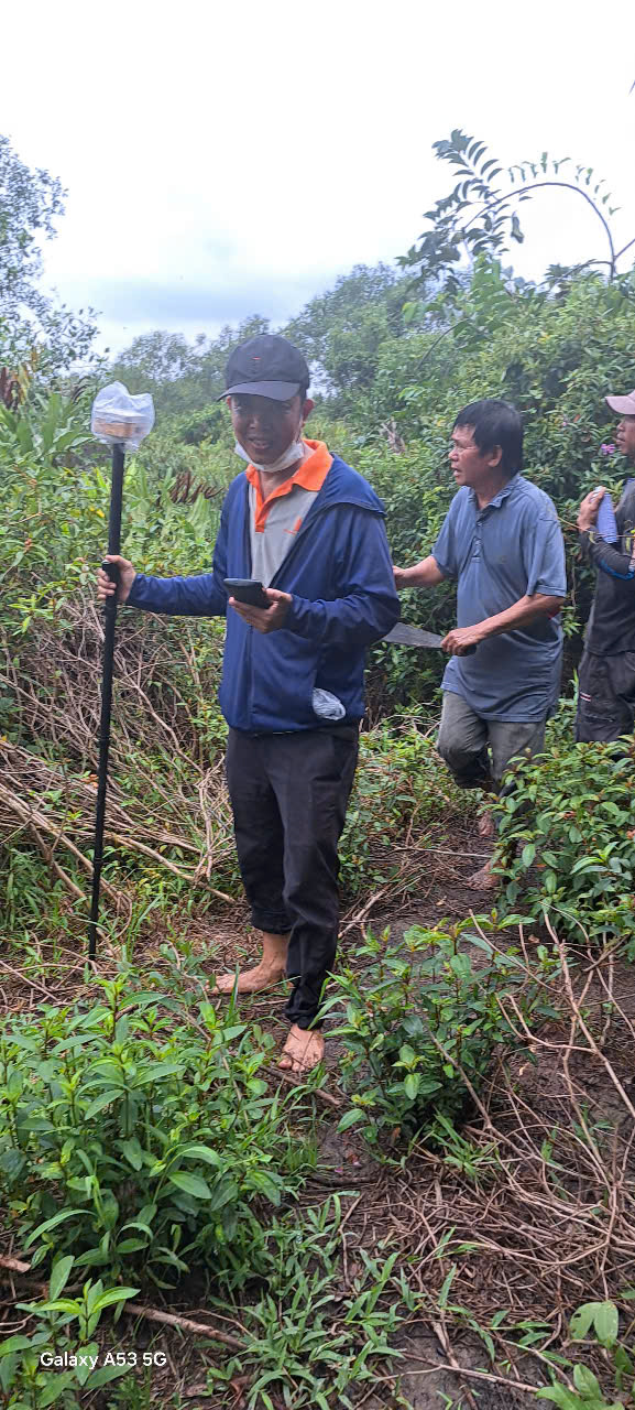 Hinh anh cam moc