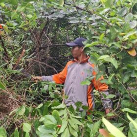 Bản đồ tỷ lệ 1/1000 là gì? Những điều cần biết trước khi sử dụng Bản đồ tỷ lệ 1/1000 là gì?