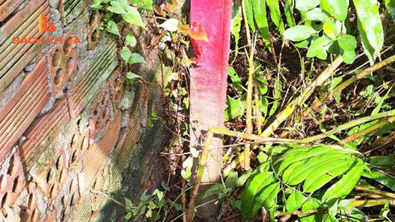 iBước 2: Kiểm tra hệ thống quang học