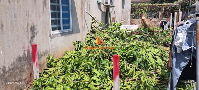 Hình ảnh mốc ranh giới đất Tăng Nhơn Phú của anh Phạm Mạnh Cường