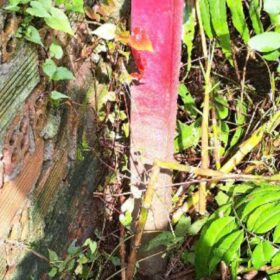 dat-cua-minh-bi-cap-so-do-cho-nguoi-khac-6