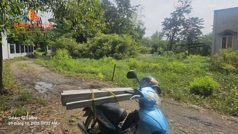 Đất khai hoang có làm sổ đỏ được không?