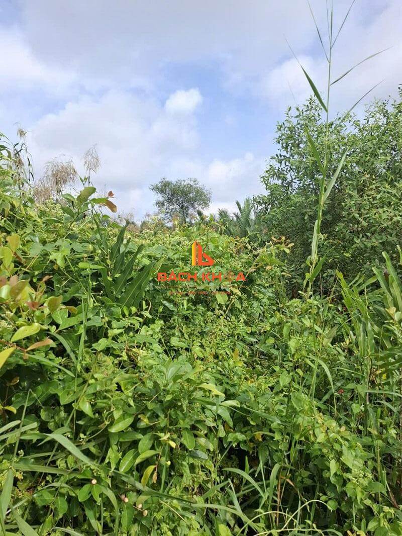 Điều kiện cấp sổ đỏ cho đất