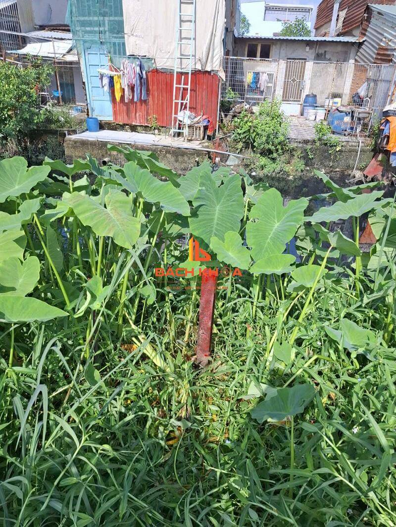 Điều kiện đất không giấy tờ được cấp sổ đỏ