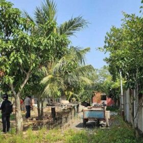 Có quy định diện tích đất tối thiểu bao nhiêu được cấp sổ đỏ không?