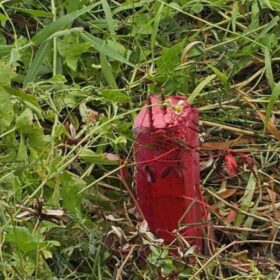 Những rủi ro pháp lý thường gặp với nhà đất tại phường Long Phước