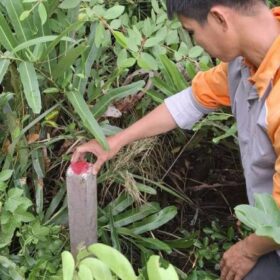 Định vị tim cọc công trình là gì? Vì sao bắt buộc phải thực hiện?