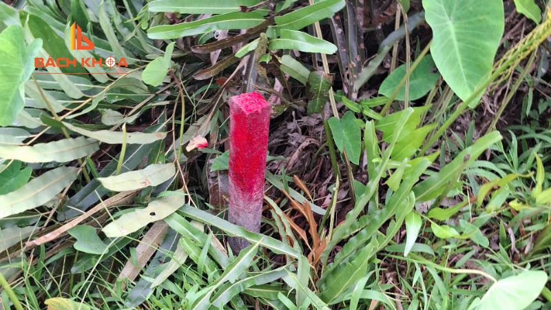 Thời hạn sử dụng của giấy phép xây dựng tạm thời