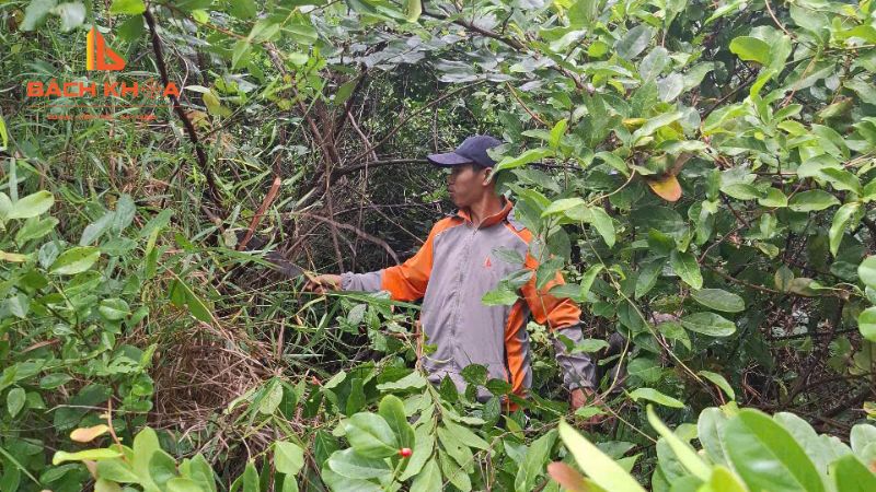 Nhà Xây Sai Phép Có Hoàn Công Được Không? Cách Làm Giấy Tờ Hoàn Công 2 Thế nào là nhà xây dựng sai phép? Các trường hợp xây dựng nhà trái phép thường gặp