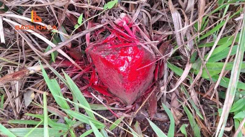 Thời hạn của giấy phép xây dựng theo Luật Xây dựng mới nhất 5 Quy định về gia hạn giấy phép xây dựng